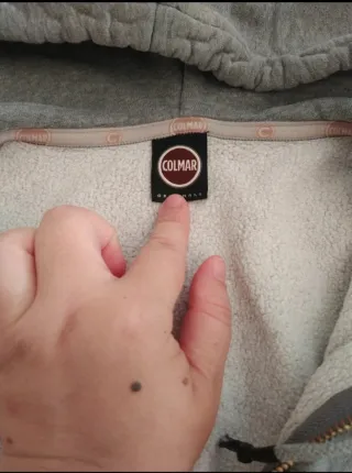 Felpa Colmar uomo grigia con zip