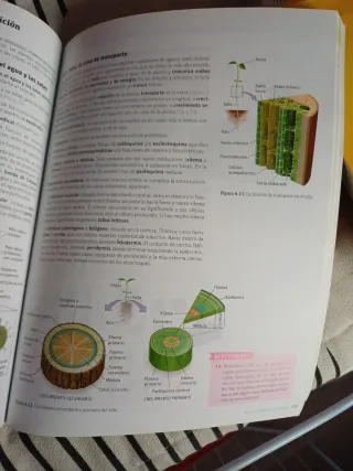 Biología y geología. 1 Bachillerato. Savia (Spa...