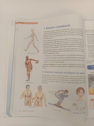 Biologia i Geologia 3r ESO - SISME - 9788430770519