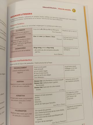 Llengua Catalana i Literatura 4 ESO - 9788419324061