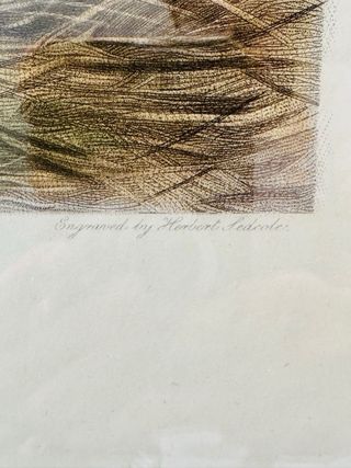 GRABADOS INGLESES ANTIGUOS