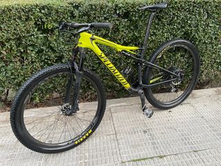 EPIC SPECIALIZED 29 CARBONO DOBLE SID BRAIN