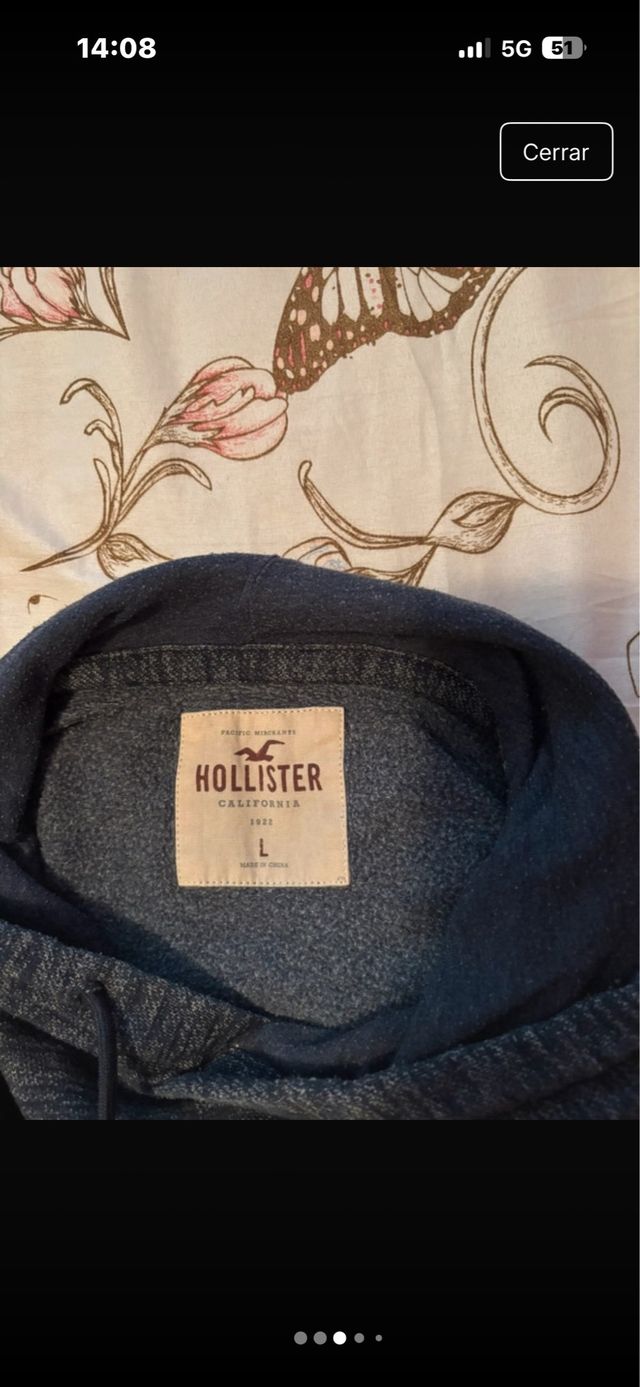 Sudadera Hollister Gris Capucha Vintage