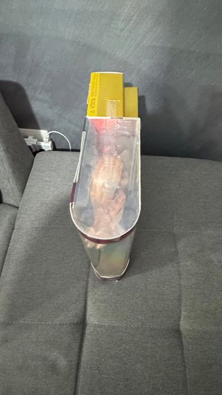 Rainbow High Georgia Bloom bambola