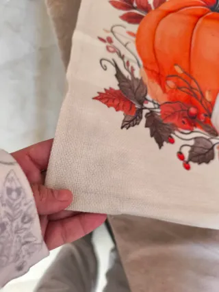 Cojines de Calabaza Set 4