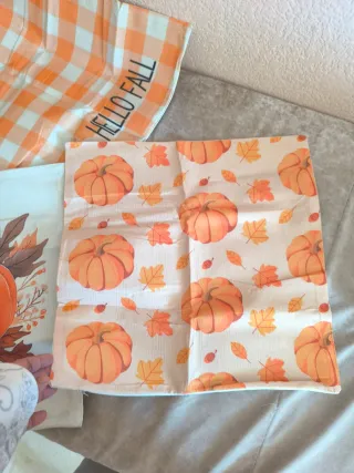 Cojines de Calabaza Set 4