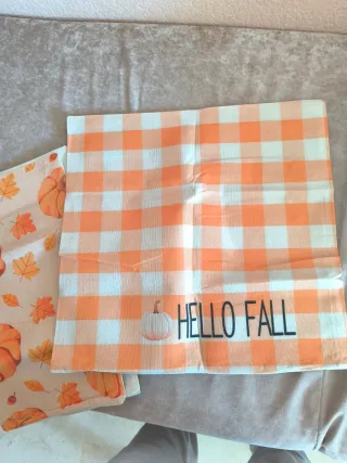 Cojines de Calabaza Set 4