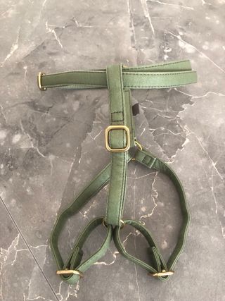 Arnés Brott Piel Vegana Verde y Dorado talla S