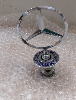 Estrella Capó Mercedes Benz