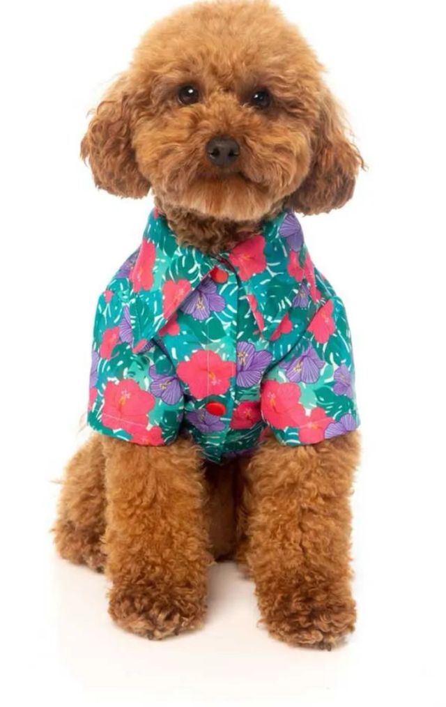 Camicia hawaiana per cani