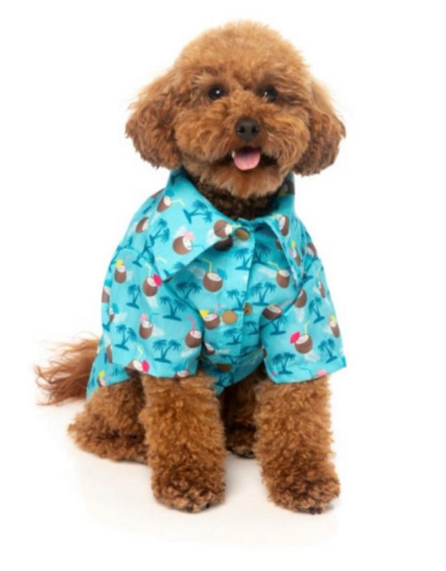 Camicia per cane Fuzzyard tropicale