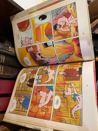 Història de Catalunya Vol. 10