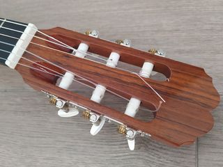 Guitarra Española / Clásica