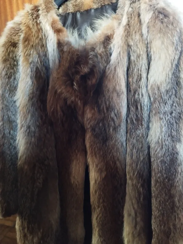 Chaquetón de zorro del país