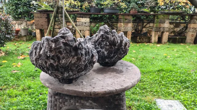 Vasi Bonsai Pietra Neri/Grigi