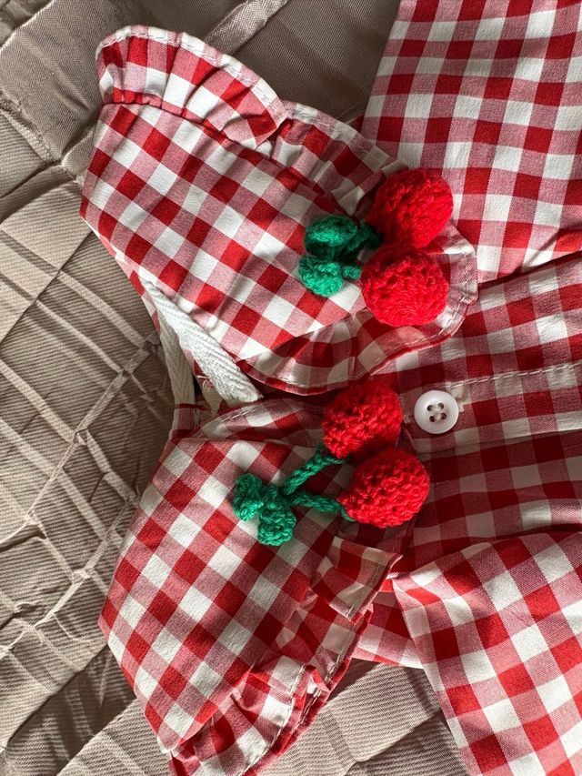 Camicia a quadri vichy per cane