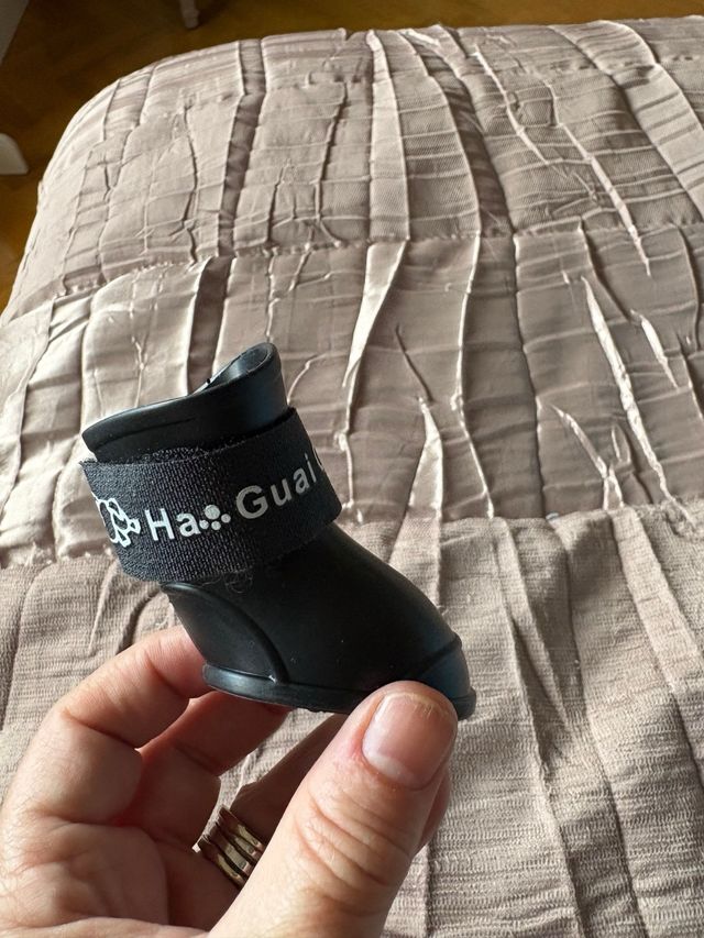 4 paia di stivali per cani neri