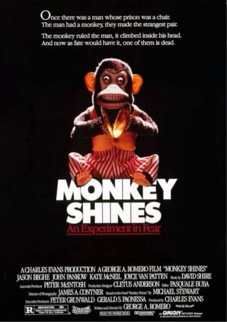 Scimmia Giocattolo con Piatti - Jolly Chimp