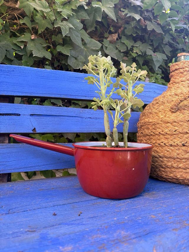 Vecchia pentola smaltata