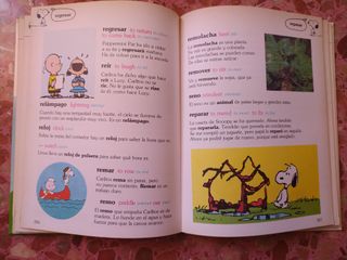 Gran Diccionario de Carlitos