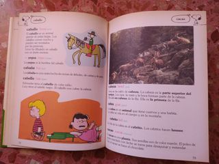 Gran Diccionario de Carlitos