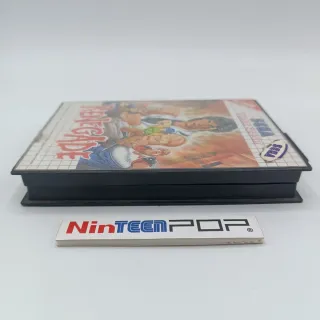 Renegade Sega Master System