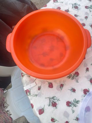 Insalatiera Arancione in Plastica