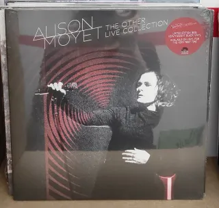 LOTE POP-ROCK, SYNTH-POP EN INGLÉS EN VINILO 48