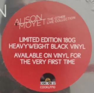 LOTE POP-ROCK, SYNTH-POP EN INGLÉS EN VINILO 48