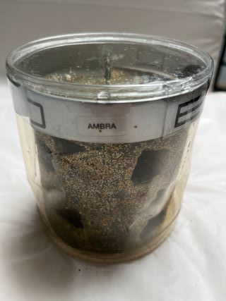 Etra candela profumata fragranza Ambra.