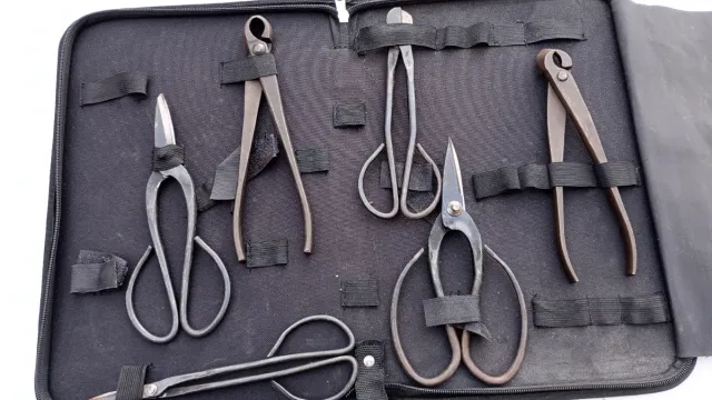 Lote de libros de Bonsai y herramientas