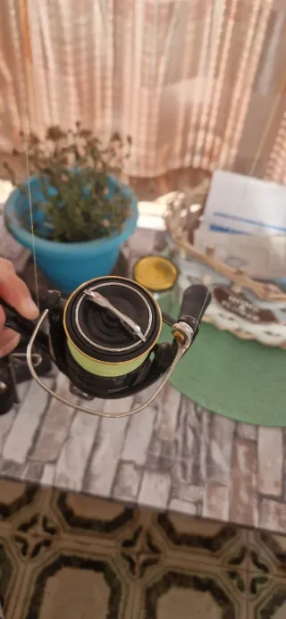 Carrete Shimano Pesca HG 2500