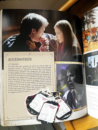 The Vampire Diaries Tous les secrets de Mystic ...