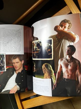 The Vampire Diaries Tous les secrets de Mystic ...