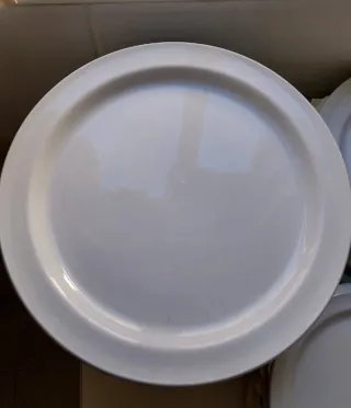 Platos Hostelería Porcelana Blanca 120unds.