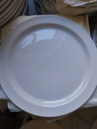 Platos Hostelería Porcelana Blanca 120unds.