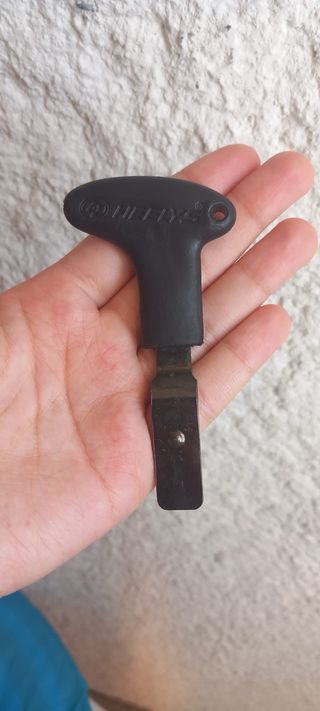 Zapatillas Heelys con Ruedas Talla 38