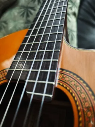 Takamine EP-50 "Limited Edition" 100% massello