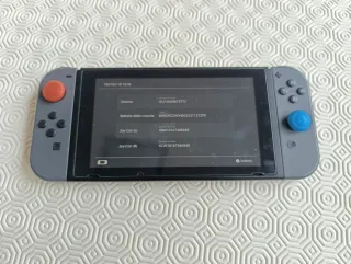 Nintendo Switch Grigia completa