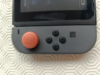 Nintendo Switch Grigia completa