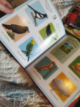 Diccionarios infantiles en francés