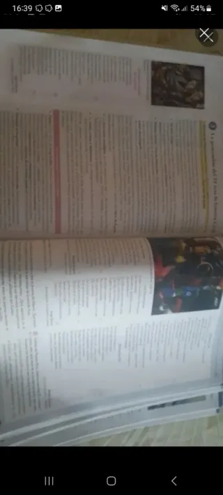 Lengua castellana y Literatura II 2º Bachillera...