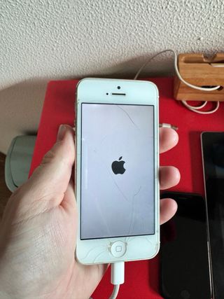 Lote Apple: iPad, iPhone, iPod, Watch