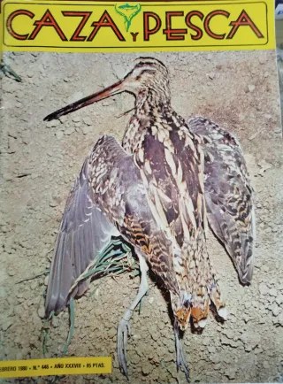 Colección de revistas de caza y pesca