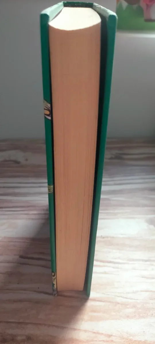 El chico del millón