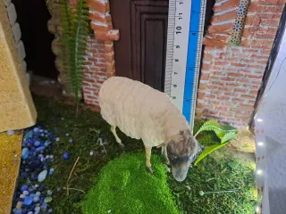 Figuras Belén Ovejas Olot