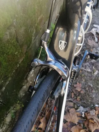 Bicicleta Trek Carretera Carbono