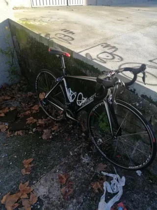 Bicicleta Trek Carretera Carbono