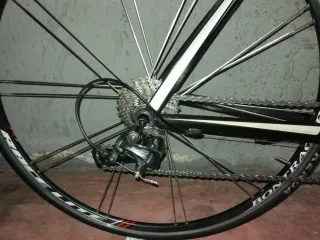 Bicicleta Trek Carretera Carbono