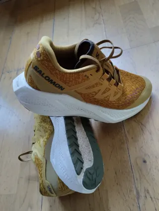 ✅Salomon Aero Glide 3 Grvl